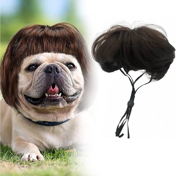 Kitty Wig Brown Bob New in Package Ooh La La! - Picture 2 of 9